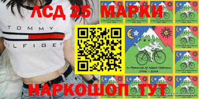 гидропоника Тверь