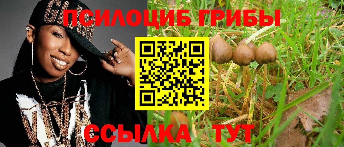 Псилоцибиновые грибы мухоморы  Вход с VPN  Псков  Галлюциногенные грибы мицелий 
