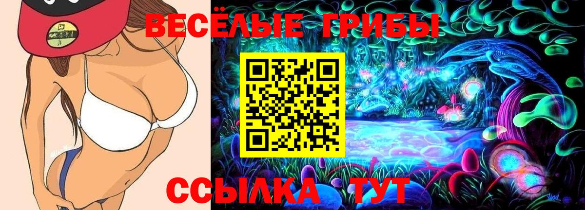 Псилоцибиновые грибы Psilocybe Псков